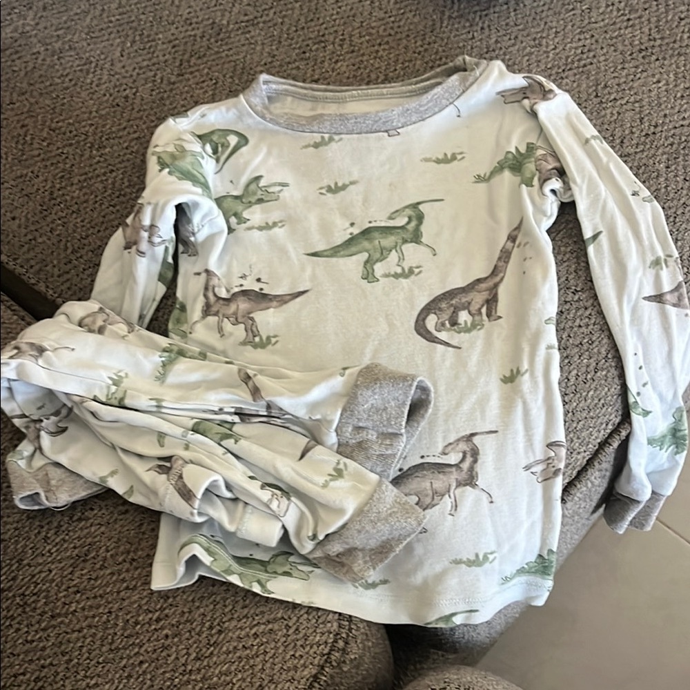 Dinosaur Print Kids Matching Set - Green and Gray